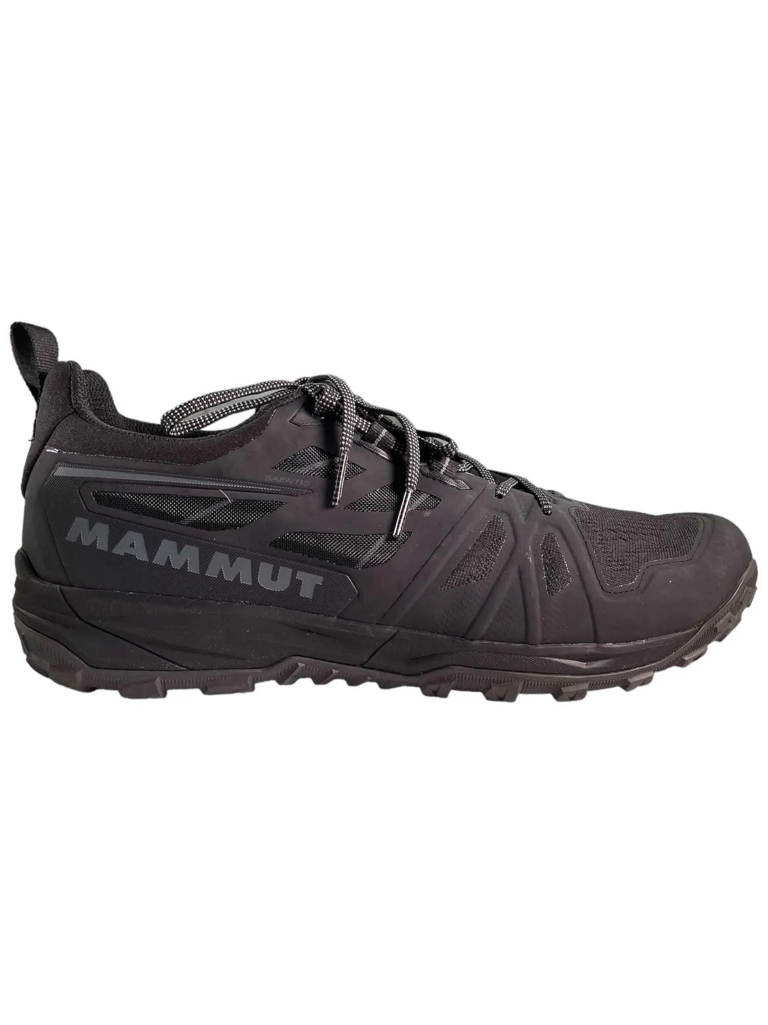 Mammut Men's Saentis Low Shoe