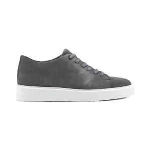 Sulpar Grey Suede Sneaker