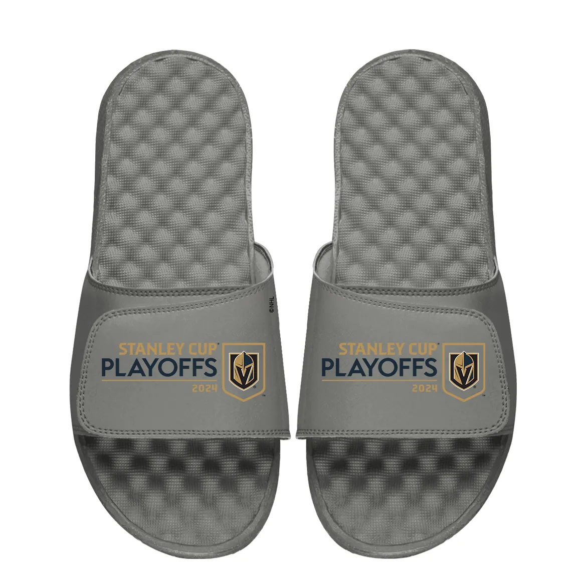 Vegas Golden Knights 2024 Stanley Cup Playoffs Logo